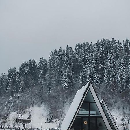 Mountains Hut Villa Mykulychyn Luaran gambar